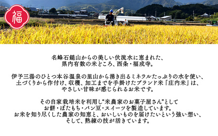  「 迎春用 杵つき餅 （40個）」 丸餅 平餅 西条市 庄内米 正月用 ※12 24～25に出荷予定