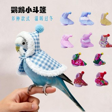 🎀免運臺灣有貨🎀寵物鸚鵡帽子披風保暖斗篷鳥用加厚防寒衣服虎皮牡丹玄風防風防水🎀可開票