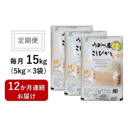 ふるさと納税 定期便 米 15kg (5kg×3袋) 12ヶ月 コシヒカリ 富山 魚津産 こめ コメ お米 おこめ 白米 精米 12回 お楽しみ 富山県魚津市