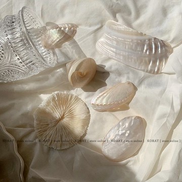 Korat. ins天然海螺貝殼珊瑚拍攝道具飾品項鏈耳釘裝飾j家居擺件