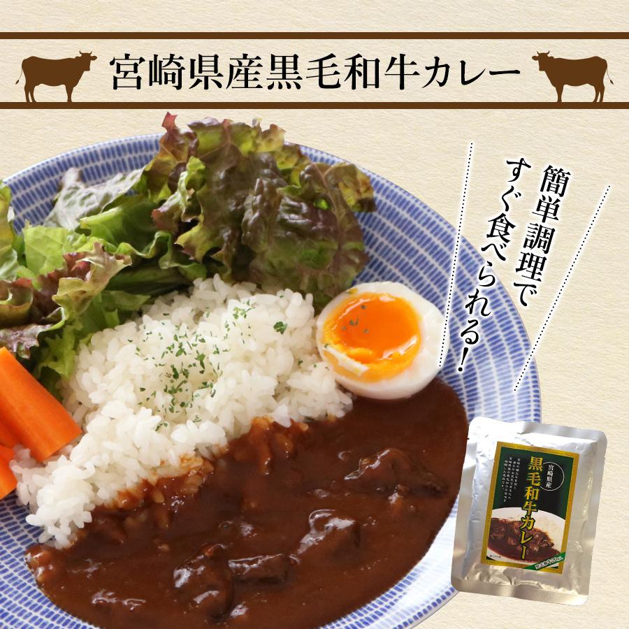 送料無料 宮崎県産黒毛和牛カレー 160g×2個 お手軽便