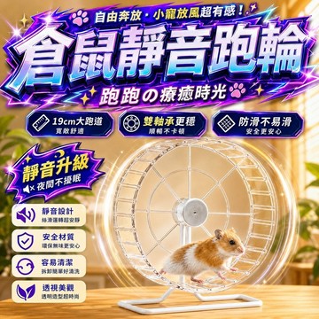 【現貨】倉鼠靜音跑輪 含支架 超靜音 12/14/17/20cm 倉鼠滾輪 倉鼠用品 倉鼠玩具  倉鼠運動 熊鼠 黃金鼠