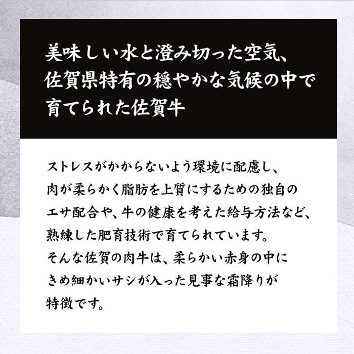 佐賀牛 カルビスライス 500g A4ランク以上 国産 カルビ 牛肉 肉 和牛 ブランド牛 しゃぶすき すき焼き しゃぶしゃぶ 霜降り 高級 冷凍 送料無料