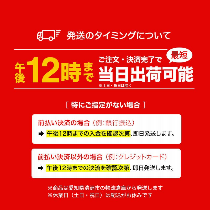スキーウェア キッズ ジュニア 上下セット スノーボードウェア