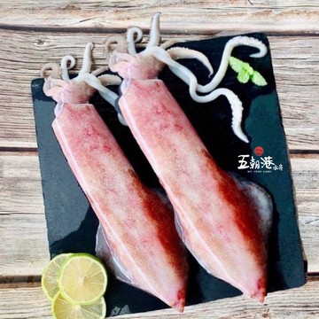 野生特級船凍透抽(500克±10%/2隻/包) 海鮮 生鮮 透抽 熱銷 快速到貨