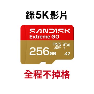 【蝦皮直營】SANDISK Extreme GO 256G microSDXC U3 UHS-I V30記憶卡 廠商直送
