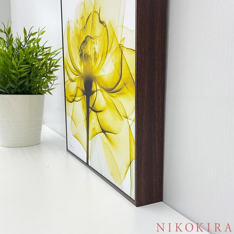 X RAY キャンバスアート ゴールデン ローズ 絵画 インテリア