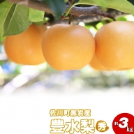 豊水梨（約３kg）