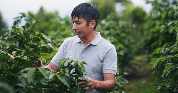 鄒築園日曬 藝伎咖啡