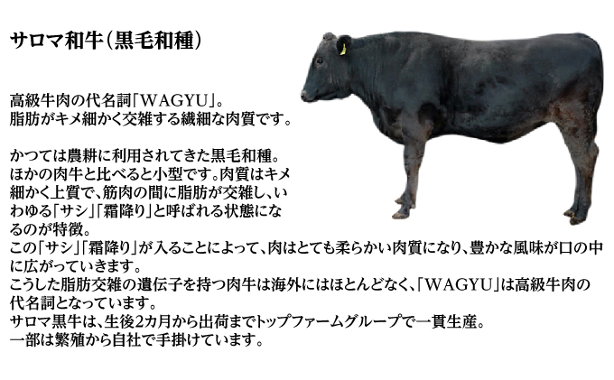 サロマ和牛 ヒレ 1頭分 ステーキカット 約200g×30枚前後 北海道 オホーツク 佐呂間町 肉 牛肉 和牛 ヒレ肉