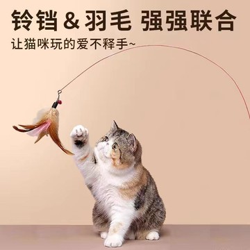 【48時熱賣】逗貓棒貓咪玩具自嗨解悶幼貓鋼絲長杆羽毛小鈴鐺耐咬幼貓寵物玩具