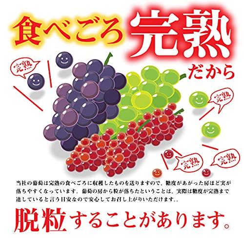 美味いとこどり 長野県産 山梨県産 岡山県産 福岡県産 高級 シャインマスカット 中粒サイズ 高糖度平均20度超え 野菜ソムリエ推奨 2房(約600g