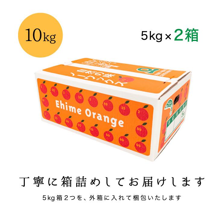 「訳あり愛媛まどんな5×2」愛媛まどんな 訳あり10キロ (5キロ×2箱)