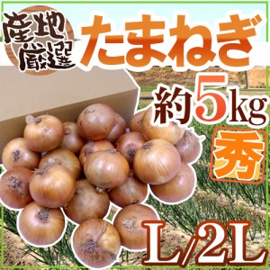 ”たまねぎ” 秀品 L 2Lサイズ 約5kg 九州・四国・淡路・北海道 産地厳選 送料無料