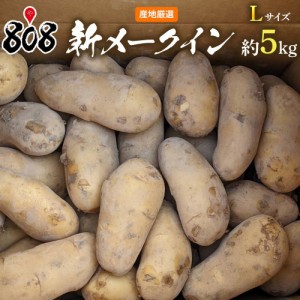 新メークイン　Lサイズ　約5kg(北海道沖縄別途送料加算)メイクイーン じゃがいも ジャガイモ じゃが芋 おうち時