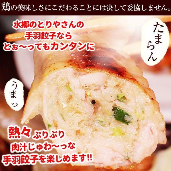 餃子 手羽餃子 10本入 お取り寄せグルメ 手羽先餃子 餃子 点心 手羽先 送料無料