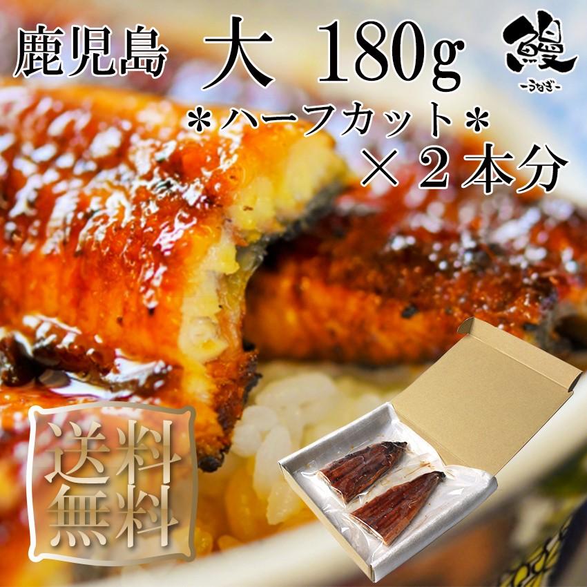 うなぎ蒲焼 ハーフカット 大 1本180g×2本分 御歳暮 ギフト プレゼント 送料無料 鹿児島産 鰻