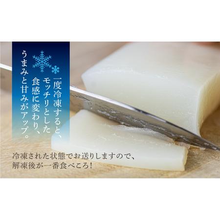 ふるさと納税 モチっとした新食感！ソデイカ（セーイカ）約1kg 沖縄県糸満市