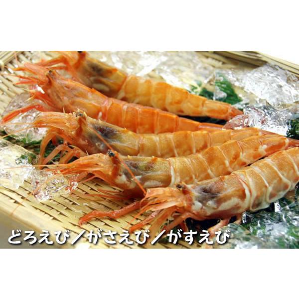 お刺身用（訳あり）どろえび（船内冷凍）大サイズ（浜坂産）ドロエビ・ガラエビ・ガサエビ・トゲクロザコエビ・海老