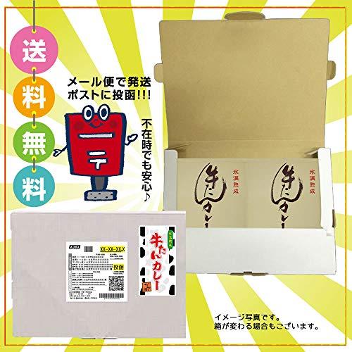 牛たんカレー　200g×2個セット　ゴロッと旨いたん助の牛たんカレー　メール便でのお届けになります。