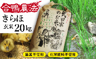 《令和５年度産》武田家のお米 きらほ（玄米）20kg＜合鴨農法＞   米 ５キロ ４袋 アイガモ