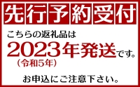 沖縄市　完熟マンゴー（小）約1kg　化粧箱・秀品