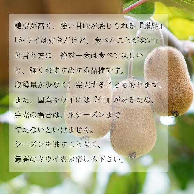 キウイ フルーツ 讃緑 5kg 国産 香川 さんりょく 果物 キュウイ 通販 深山のキウイ