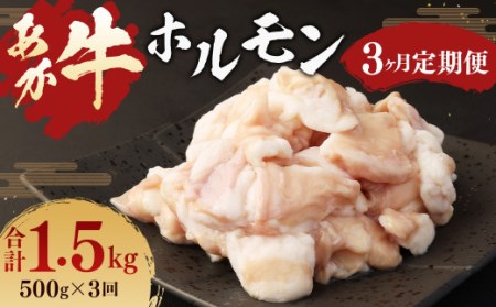  あか牛 ホルモン 500g (250g×2パック) ×3回 牛肉 お肉 定期