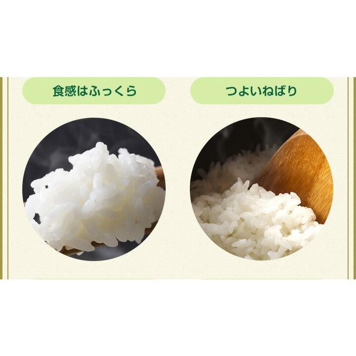 新米　米 お米 2kg 送料無料 夢しずく 佐賀県産　令和5年度 2kg