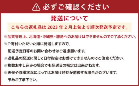 あまおう ボリュームセット 約280g×6パック