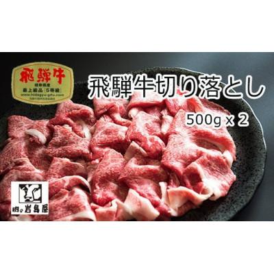 ふるさと納税 恵那市 飛騨牛 切り落とし肉 A5ランク 1kg