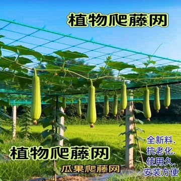 🥇爬藤網植物爬藤網百香果黃瓜葡萄豆角吊瓜苦瓜絲瓜爬藤網瓜網