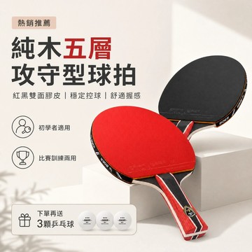 四星乒乓球拍 雙面反膠 桐木球拍 橫拍 直拍 桌球拍 桌球拍套 長柄橫拍 短柄直拍 4星乒乓球拍 桌球 球拍 開發票