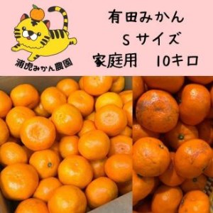 訳あり温州みかん１０ｋｇ（Ｓサイズ指定）