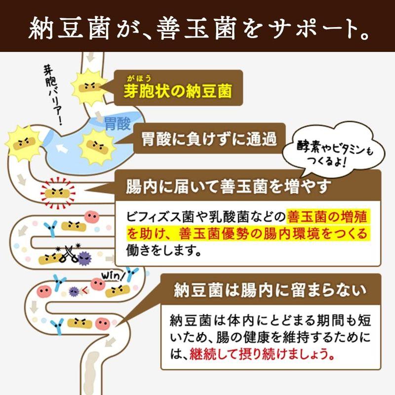 こな納豆   通常納豆菌が生きているひとさじでバランス栄養食に 粉納豆（国産 納豆粉末100%・完全無添加 納豆パウダー） (50g)