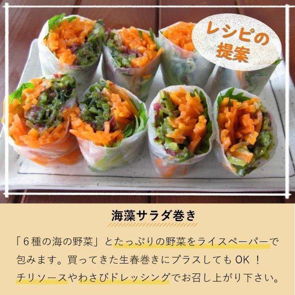 海藻サラダ ２００g わかめ 茎わかめ 赤のり 寒天 昆布 とさかのり