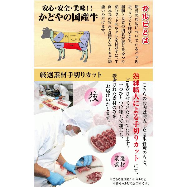 足柄牛上カルビ焼肉用500g 国産牛 かながわブランド  焼肉 セット バーベキュー BBQ bbq ブランド ホルモン 牛 肉 牛肉  国産 ギフト 父の日 母の日 パーティー