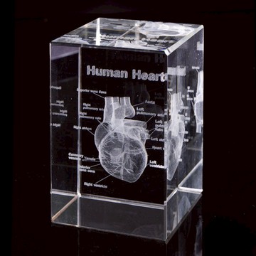 賽先生科學工廠｜透視心臟水晶紙鎮