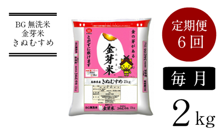 BG無洗米・金芽米きぬむすめ 2kg×6ヵ月 定期便  ［令和5年産 新米］計量カップ無し