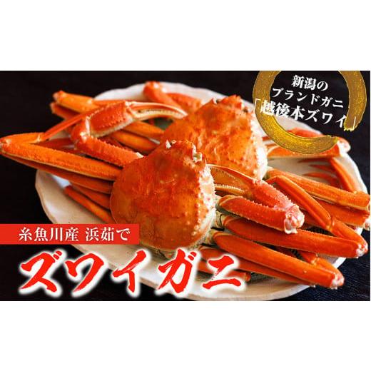 ふるさと納税 新潟県 糸魚川市 日本海直送『越後本ズワイガニ』800ｇ以上２杯　茹でたてを急速冷凍してお届けします