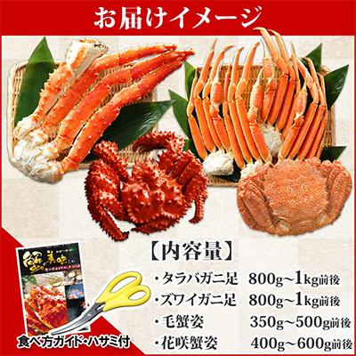 ふるさと納税 弟子屈町 四大蟹 タラバ足 ズワイ足 毛蟹 花咲蟹 セット 蟹ハサミ・ガイド付 北海道 弟子屈町 2120