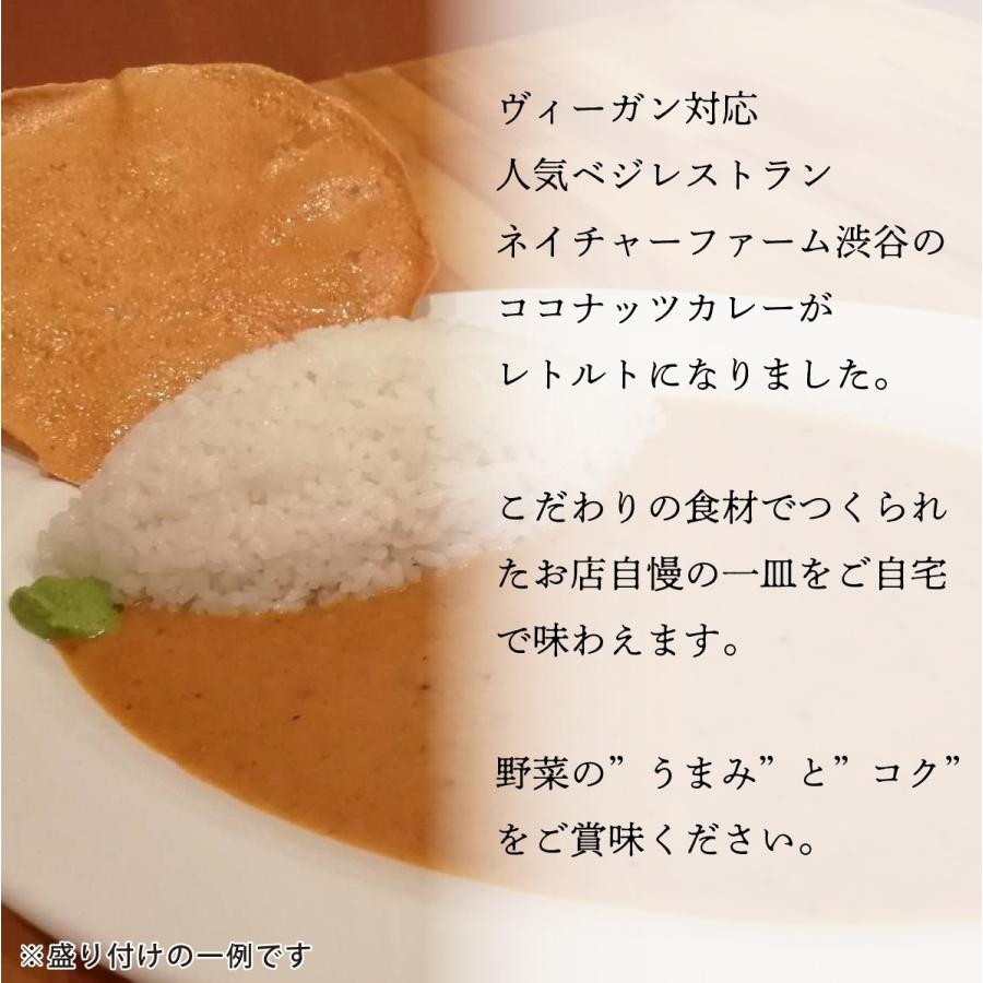 高級 ベジタブルキーマカレーココナッツカレー2種類×各1パック│グルテンフリー ベジタリアン ヴィーガン 無添加 レトルトカレー