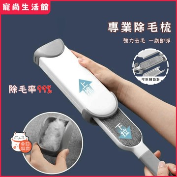 【隔日到貨】衣物刮毛器 除毛器 衣物去毛神器 除毛刷 刮毛刷 可拆解 兩用除毛刷 除貓毛 狗毛 粘毛器 雙面可用