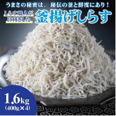 ふるさと納税 有田市 しらす職人が目利きした 「 釜揚げしらす 」 1.6kg(400g×4パック)