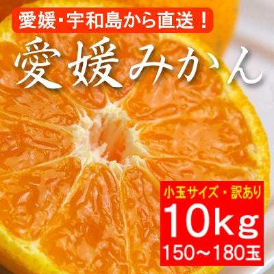 お歳暮ギフト2023にも！ 訳あり・小粒バージョン・愛媛産みかん10ｋｇ(約150〜180玉)