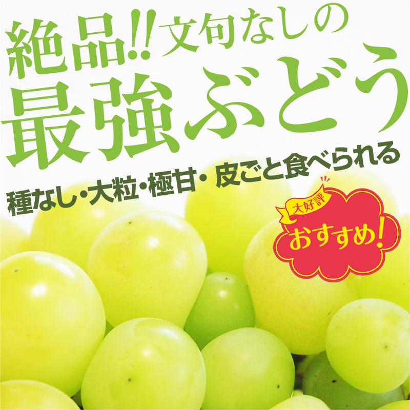 シャインマスカット ぶどう 超大房 1.3kg 2房 秀品 お歳暮 年末年始 ギフト 贈答 プレゼント 贈り物 クール便