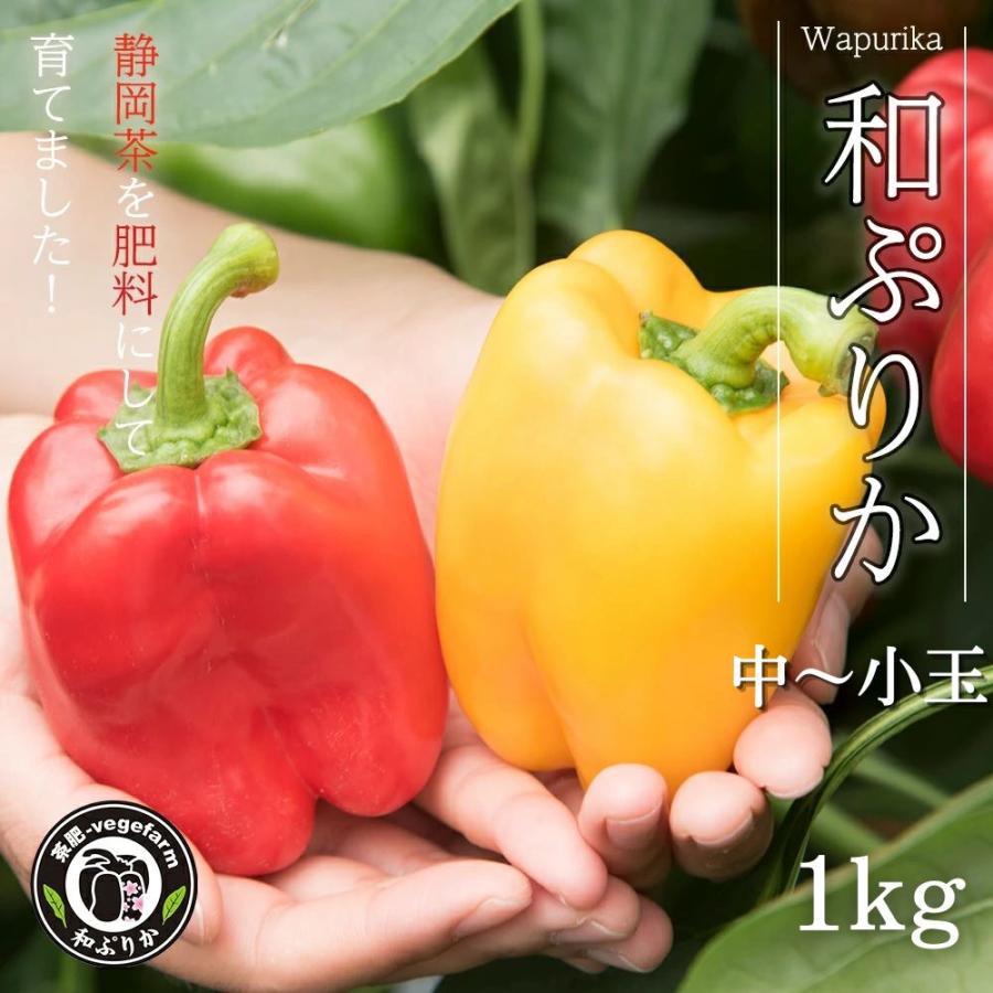 和ぷりか 1kg（中〜小玉）  国産 パプリカ 採れたて 野菜 もぐはぐ農園 静岡の完熟採りたてパプリカ