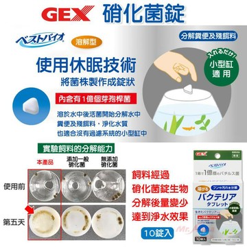 P老闆水族~GEX 五味 1億硝化菌錠（10入）水質 消化菌 淨水 過濾 溶解 淨化水質 水質護理 飼料分解 有機物 小