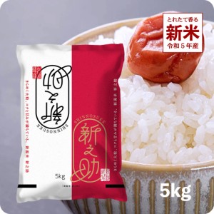 新米 5kg 新之助 令和5年産 お米 新潟県産 しんのすけ 1等米 産直 精米 白米