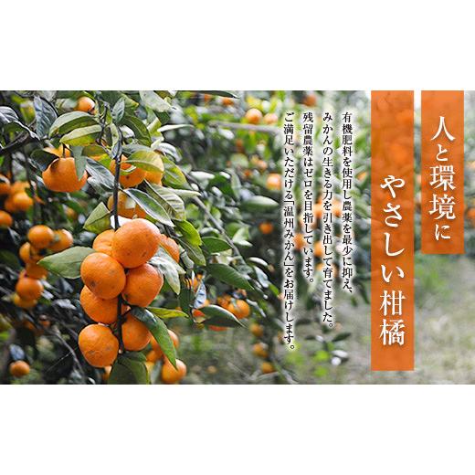 ふるさと納税 宮崎県 日南市 ≪数量限定≫大満足!!『ネイバーフッドの温州みかん(計5kg以上)』傷み補償分200g付き　フルーツ　果物　柑橘　ミカン　国産 BA77-…